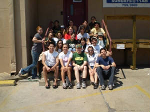 hsa6.jpg